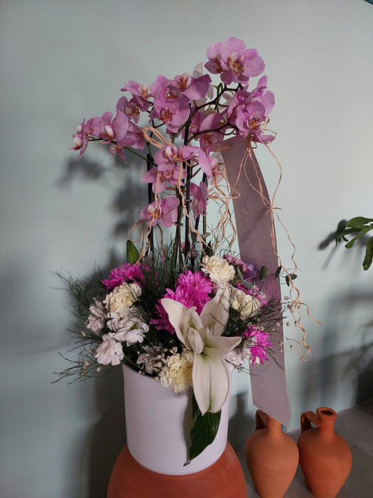 Orkide Aranjman
